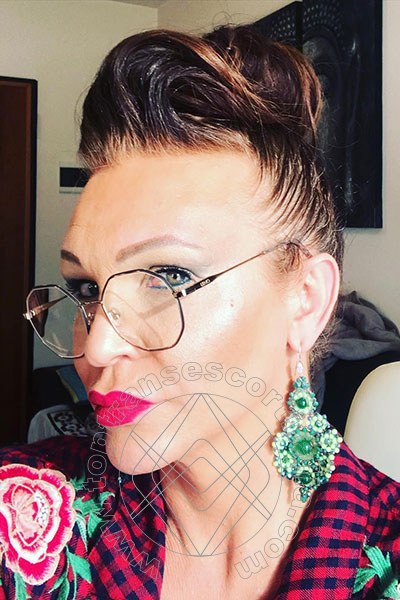 Foto selfie 553 di Valeria transexescort Treviso