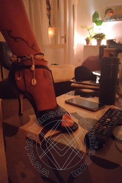 Foto selfie 447 di Valeria transexescort Treviso