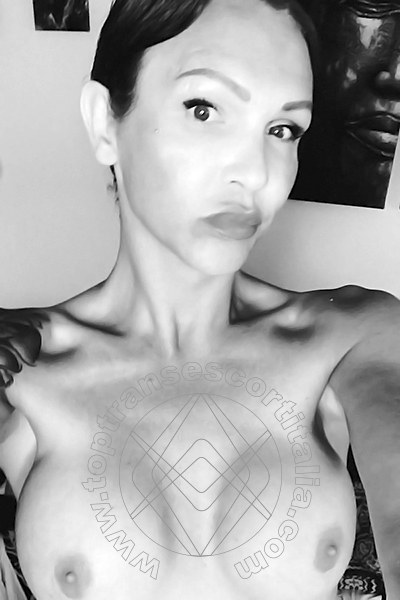 Foto selfie 483 di Valeria transexescort Treviso