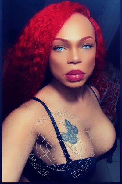 Foto selfie 21 di Dior transexescort Genova