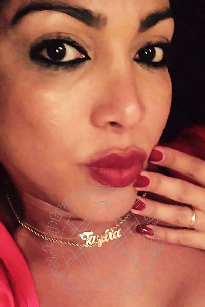 Foto selfie 44 di Aylla Gattina Pornostar transexescort San Paolo