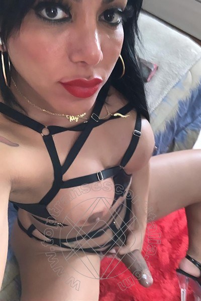Foto selfie hot 3 di Aylla Gattina Pornostar transexescort San Paolo