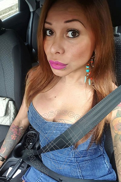 Foto selfie 219 di Alessandra Toledo Pornostar transexescort Rimini
