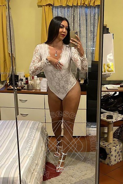 Foto selfie 93 di Luisa transexescort Dalmine