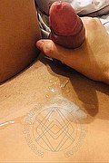 Foto selfie hot 1 di Livia Trans transexescort Milano