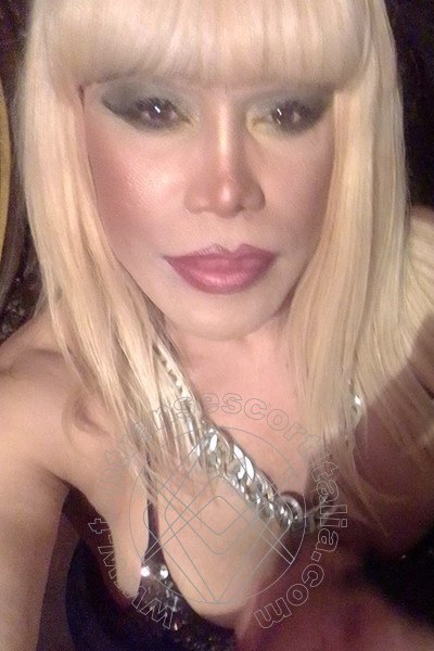 Foto selfie 634 di Nicole Vip Venturiny transexescort Milano