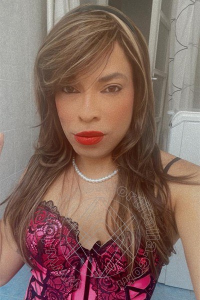 Foto selfie 15 di Niccole transexescort Torino