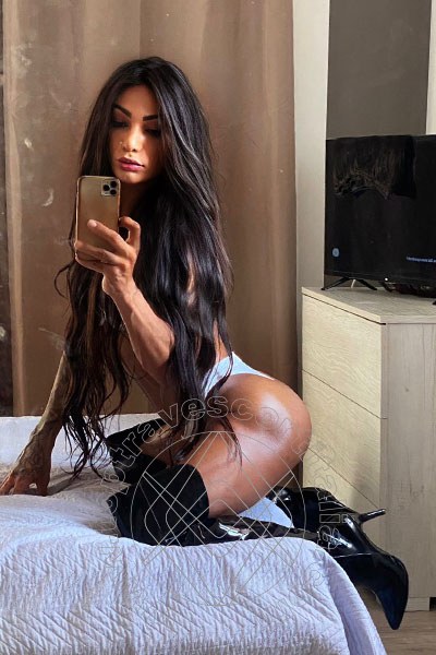 Foto selfie di Alicia transexescort Zurigo