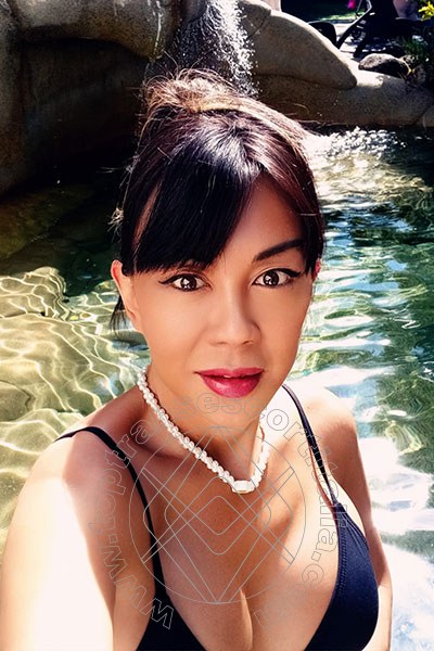 Foto selfie 8 di Vanessa transexescort Campi Bisenzio