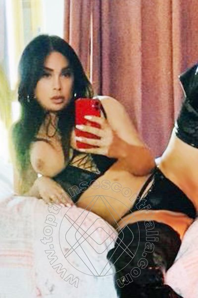 Foto selfie 36 di Chanelle transexescort Treviso