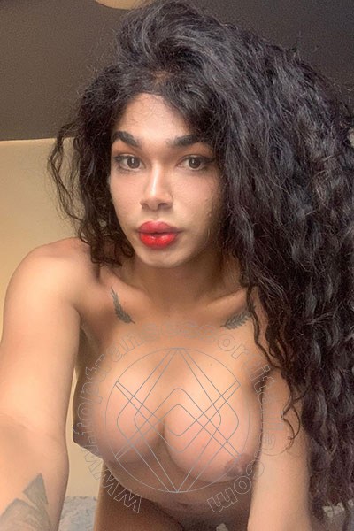 Foto selfie 17 di Miele transexescort Legnano