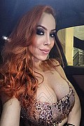 Foto selfie 1 di Giselly Kherllakian transexescort Colonnella