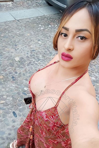 Foto selfie 24 di Zara Marcano transexescort Ravenna