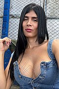 Foto selfie 2 di Ivanna transexescort Boara pisani