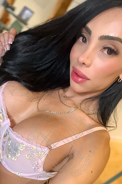 Foto selfie 19 di Pamelita transexescort Roma