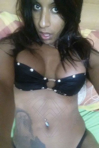 Foto selfie 53 di Sabry transexescort Recife