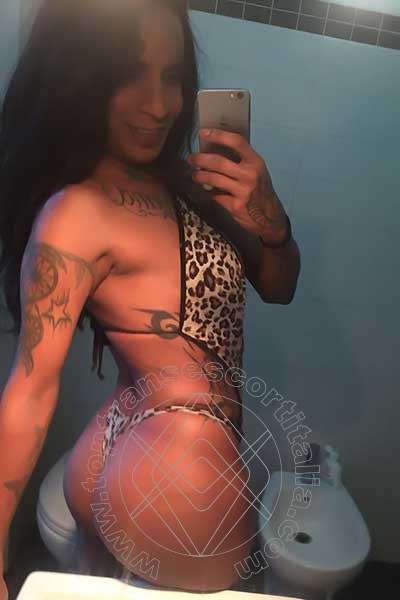 Foto selfie 8 di Sabry transexescort Recife