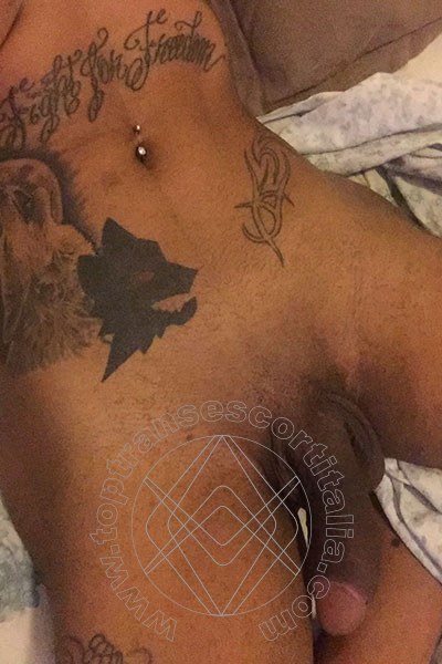 Foto selfie hot 8 di Sabry transexescort Recife