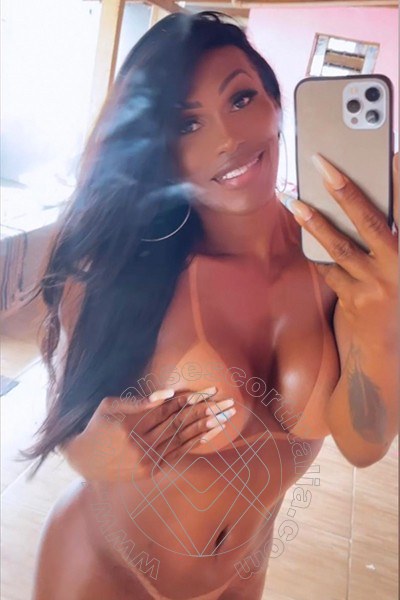 Foto selfie 6 di Antonella Mantovanny transexescort Piacenza