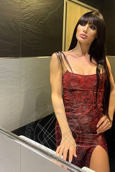 Foto selfie 15 di Ale Italiana transexescort Salerno