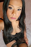 Foto selfie 1 di Clarissa Ribeiro transexescort Reggio emilia