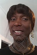 Foto selfie 1 di Serena Xl transexescort Malnate