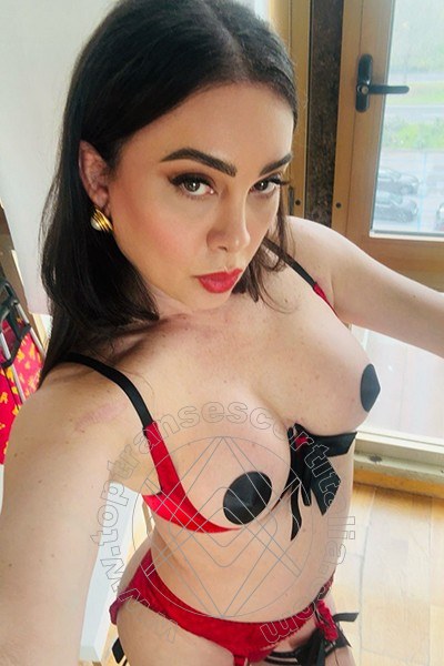 Foto selfie 15 di Chanelle transexescort Treviso