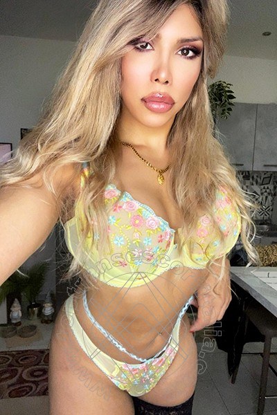 Foto selfie 41 di Karina Becker transexescort Bologna