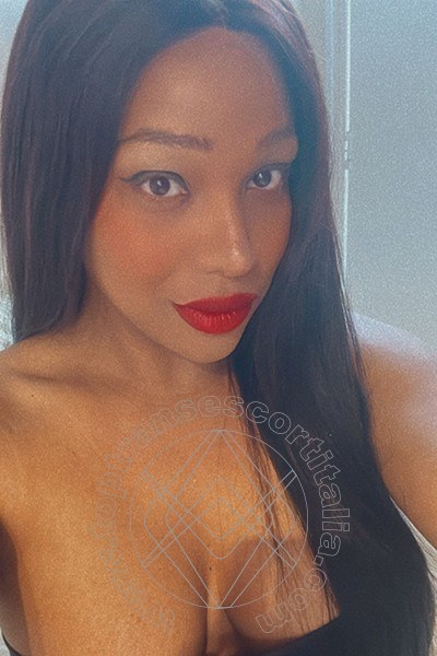 Foto selfie 86 di Adriana transexescort Napoli