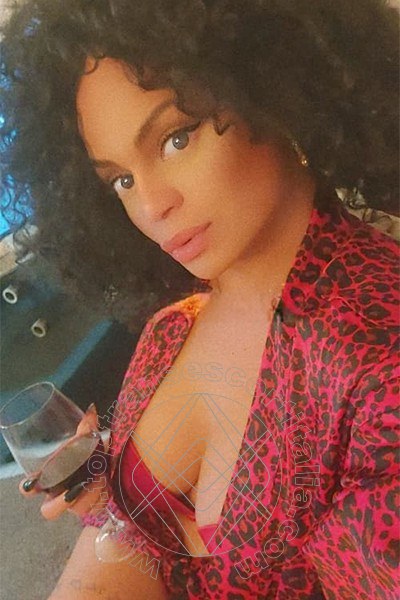 Foto selfie 6 di Serena transexescort Torino