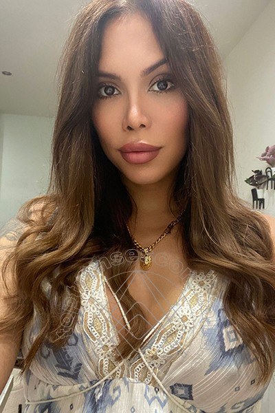 Foto selfie 39 di Karina Becker transexescort Bologna