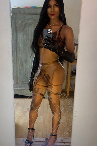 Foto selfie di Paola transexescort Anversa