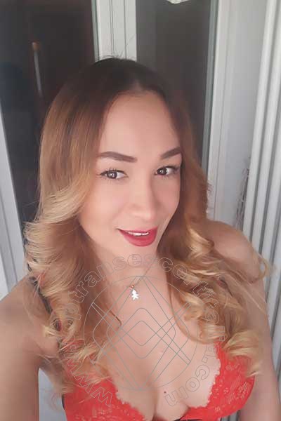 Foto selfie 73 di Gabriella Novita' transexescort Eboli