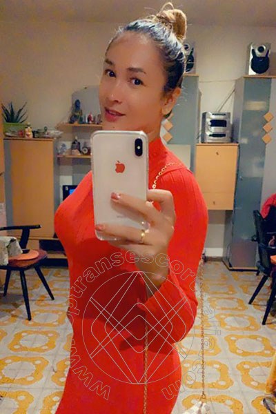 Foto selfie 63 di Gabriella Novita' transexescort Eboli