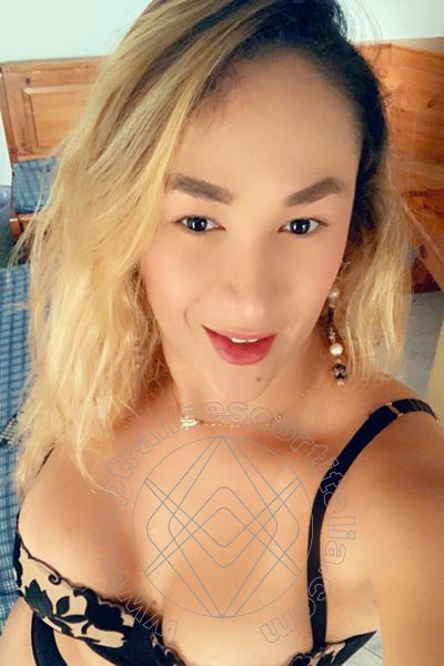 Foto selfie 67 di Gabriella Novita' transexescort Eboli