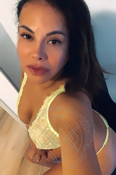 Foto selfie 14 di Elena transexescort Pordenone