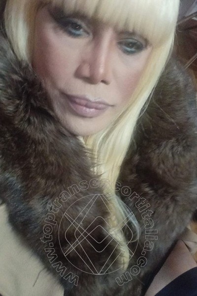 Foto selfie 409 di Nicole Vip Venturiny transexescort Milano