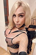 Foto selfie 2 di Diosa Tiffa transexescort Palma di maiorca