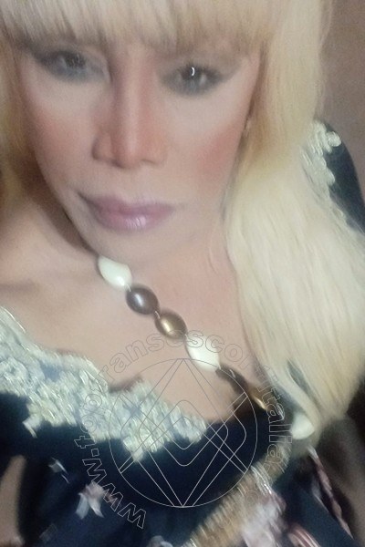 Foto selfie 255 di Nicole Vip Venturiny transexescort Milano