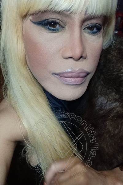 Foto selfie 254 di Nicole Vip Venturiny transexescort Milano