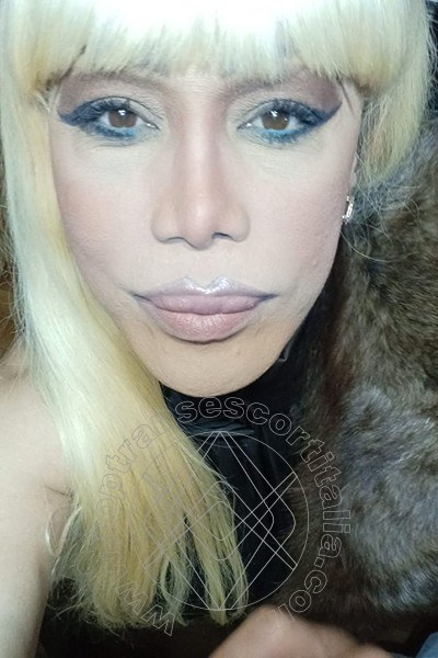 Foto selfie 250 di Nicole Vip Venturiny transexescort Milano