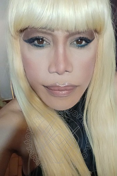 Foto selfie 186 di Nicole Vip Venturiny transexescort Milano