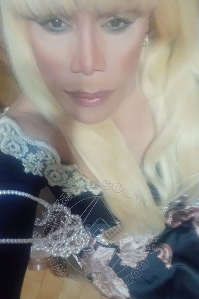 Foto selfie 185 di Nicole Vip Venturiny transexescort Milano