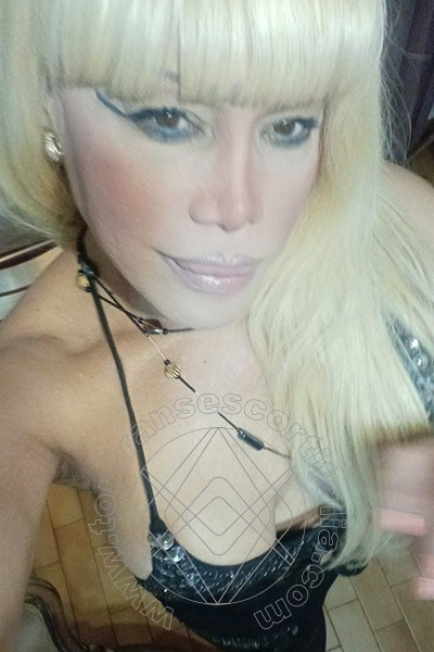 Foto selfie 86 di Nicole Vip Venturiny transexescort Bergamo