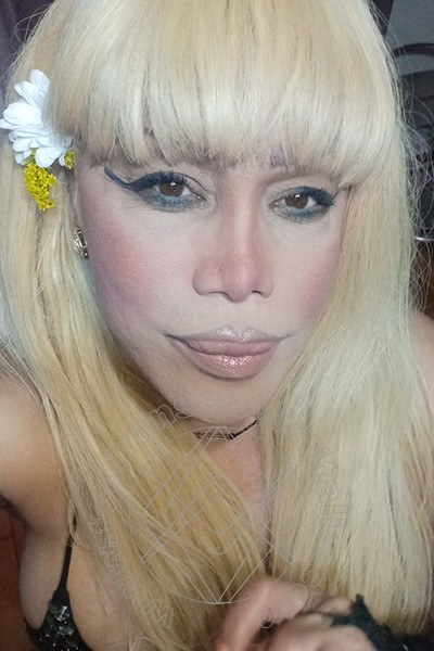 Foto selfie 135 di Nicole Vip Venturiny transexescort Milano