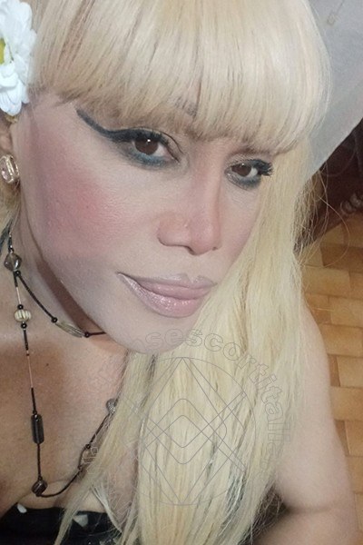 Foto selfie 116 di Nicole Vip Venturiny transexescort Milano