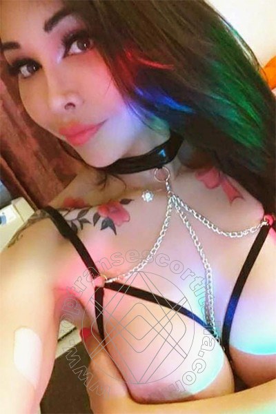 Foto selfie 4 di Dana transexescort Kriens