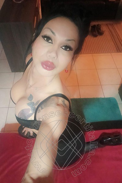 Foto selfie 11 di Adriana Paulett transexescort Paese