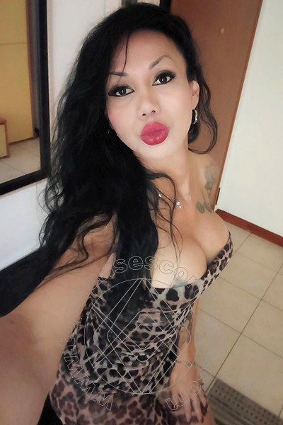 Foto selfie 9 di Adriana Paulett transexescort Paese