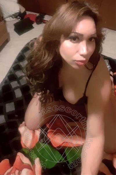 Foto selfie 13 di Penelope transexescort Caltanissetta